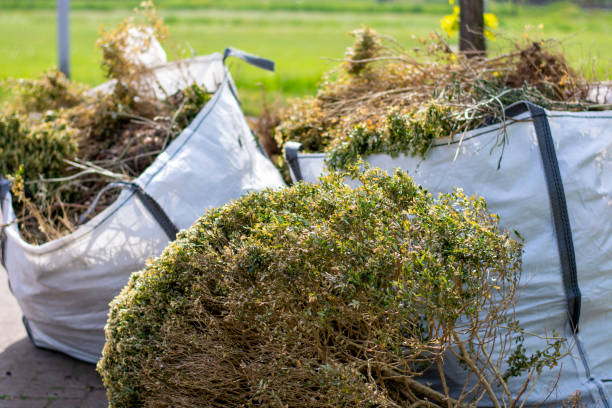 Yard Cleanup Services in Park Forest Village, PA